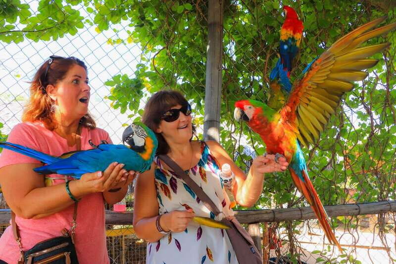 Los Cabos: Animal Encounter & Aqua Park Adventure - Final Thoughts: Is It Worth It?