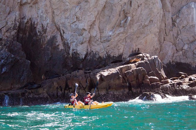 Los Cabos Arch and Lover's Beach Tour by Glass Bottom Kayak - Pricing and Booking Information