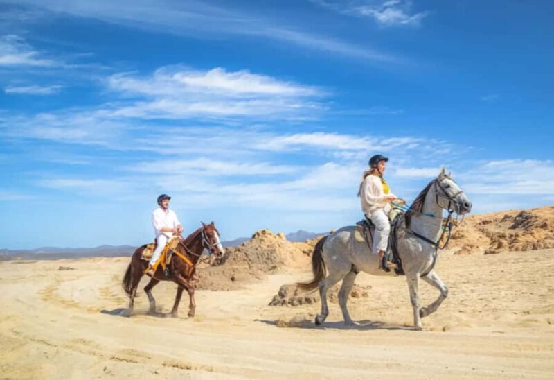 Los Cabos: ATV, Camel, and Sky Bike Tour with Tequila - An Overview of the Experience