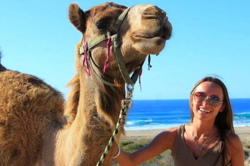 Los Cabos: ATV, Camel, and Sky Bike Tour with Tequila - Why This Tour Offers Good Value
