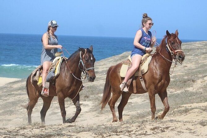 Los Cabos ATV/UTV & Horseback Riding COMBO Tour & Tequila Tasting - Who Will Love This Tour?