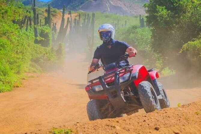 Los Cabos ATV/UTV & Horseback Riding COMBO Tour & Tequila Tasting - Final Word