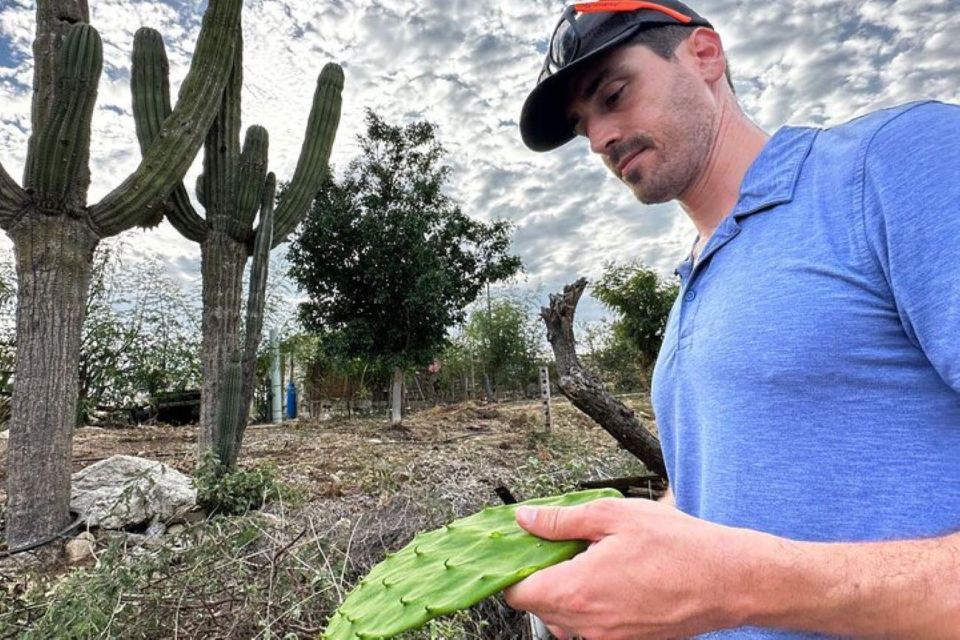 Los Cabos: Azteca Cactus Taco Farm to Table Cooking Class - Hands-on Nopal Cactus Harvest Class