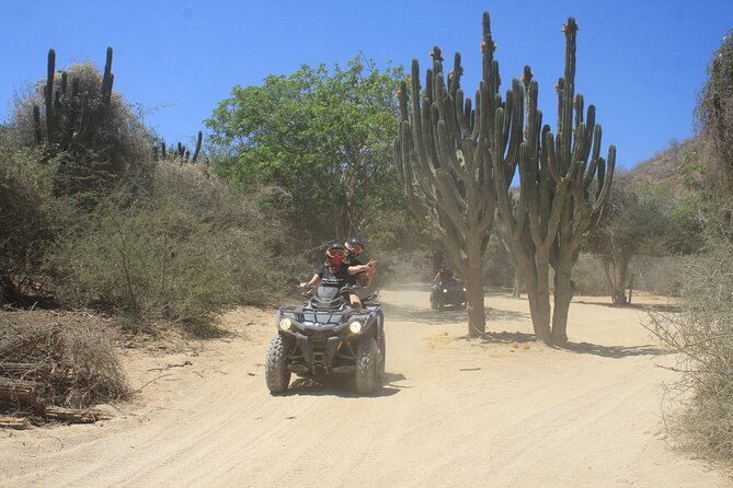 Los Cabos Beach & Desert Tour in Automatic ATV + Tequila Tasting - Booking and Contact Information