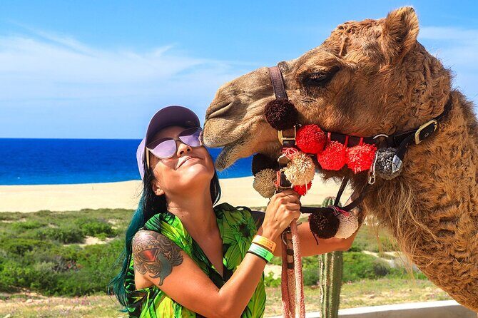 Los Cabos Camel Ride Adventure On The Beach - Why This Tour’s Worth Considering