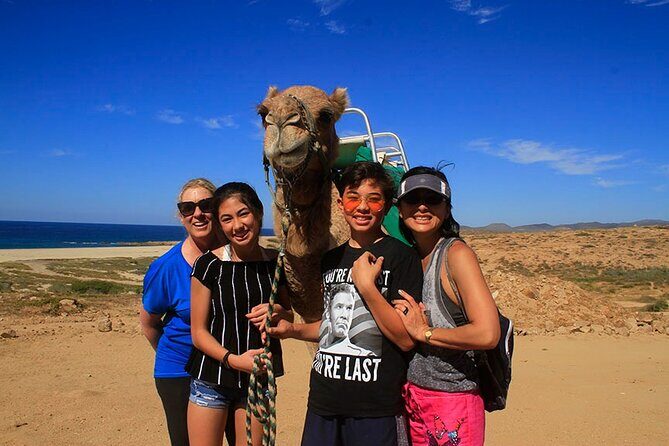 Los Cabos Camel Ride Adventure On The Beach - FAQ