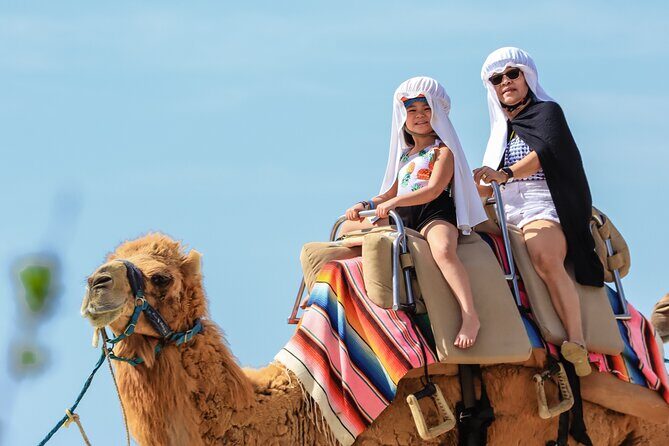 Los Cabos Camel Ride and Tequila Tasting Experience - What to Expect from the Los Cabos Camel Ride and Tequila Tasting
