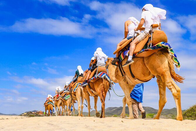 Los Cabos Camel Ride and Tequila Tasting Experience - A Balanced Look at the Experience