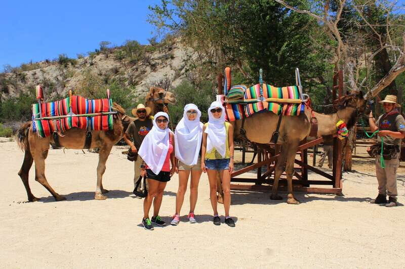 Los Cabos: Camel Ride in the Canyon & Thrilling Water-Slides - Authenticity and Traveler Feedback
