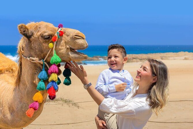 Los Cabos Camel Riding and ATV with Tequila Tasting - FAQs