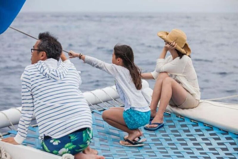 Los Cabos: Catamaran Whale Watching Cruise - Analyzing Value and Practicality