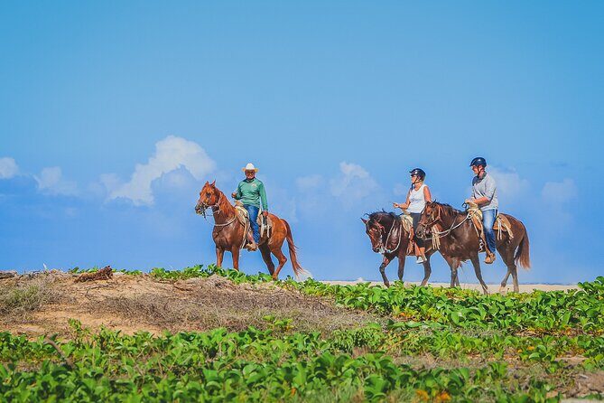 Los Cabos Combo: ATV + Horseback Riding - The Benefits of Combining ATV and Horseback Riding