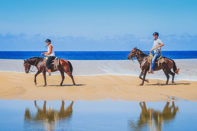 Los Cabos Combo: ATV + Horseback Riding - Who Will Love This Tour?