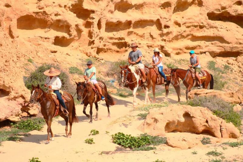 Los Cabos: Combo: Razor, Horseback or atv with transfer - The Cultural and Tasting Element