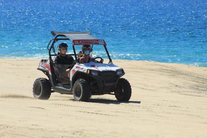 Los Cabos: Combo: Razor, Horseback or atv with transfer - Pricing and Value