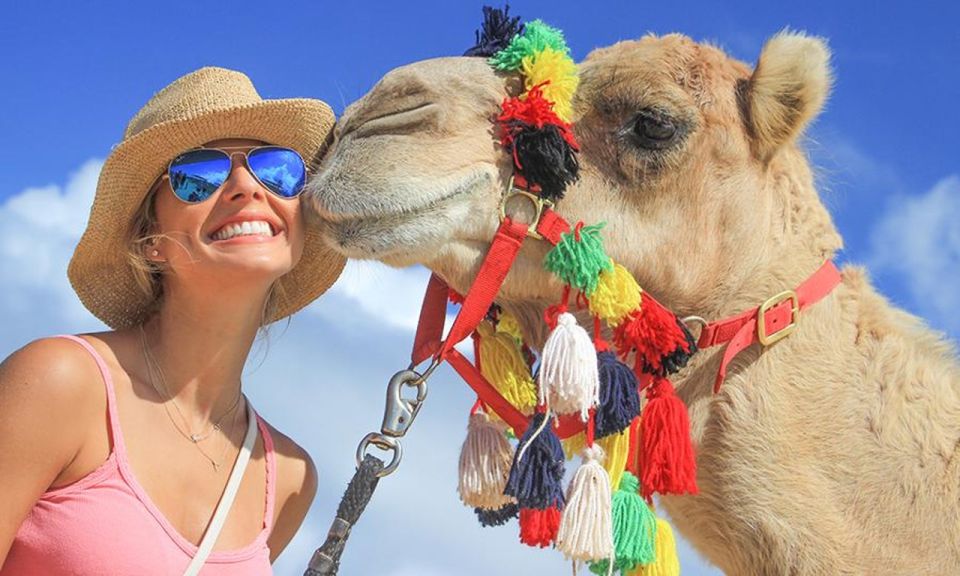 Los Cabos: Desert & Sea Camel Safari Tour With Lunch - Key Points