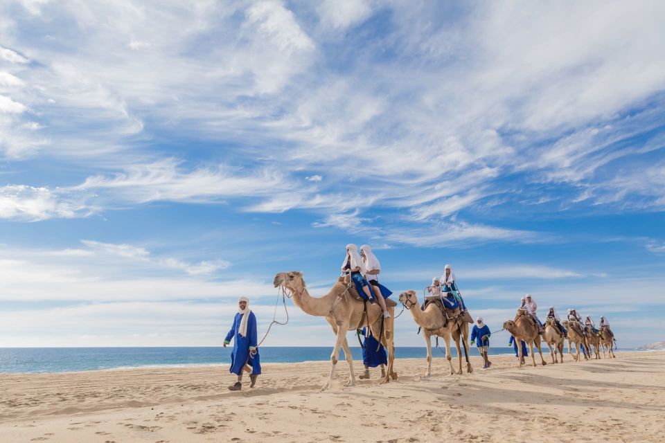 Los Cabos: Desert & Sea Camel Safari Tour With Lunch - Traditional Mexican Buffet