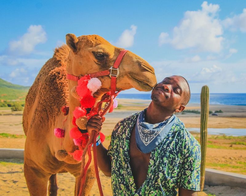 Los Cabos: Desert & Sea Camel Safari Tour With Lunch - Tequila and Mezcal Tastings