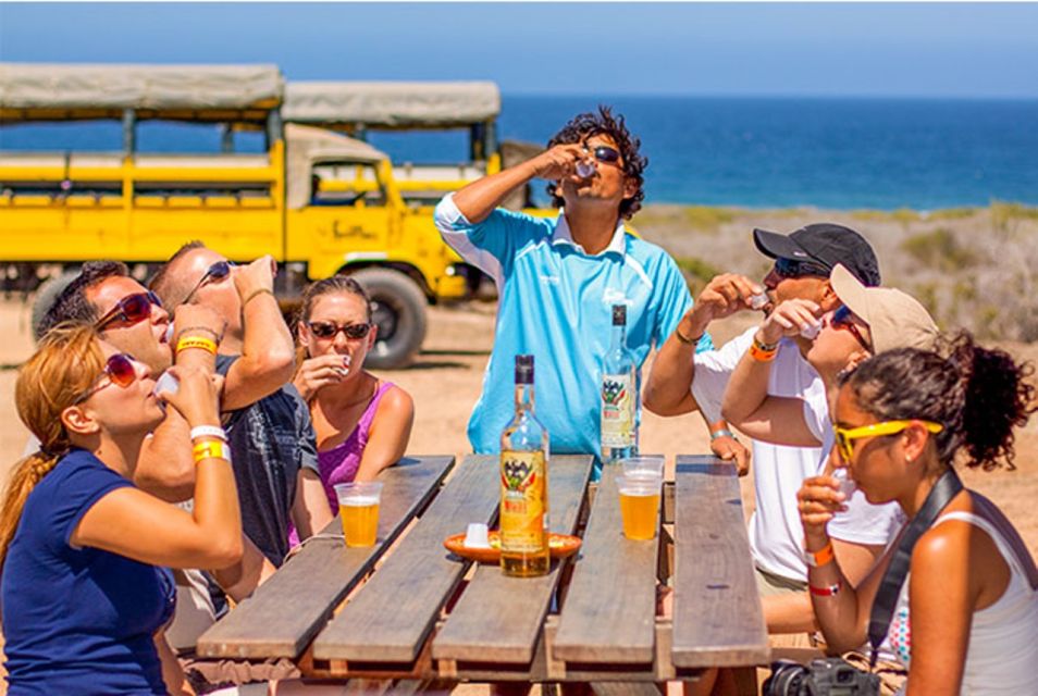 Los Cabos: Desert & Sea Camel Safari Tour With Lunch - Inclusions and Exclusions