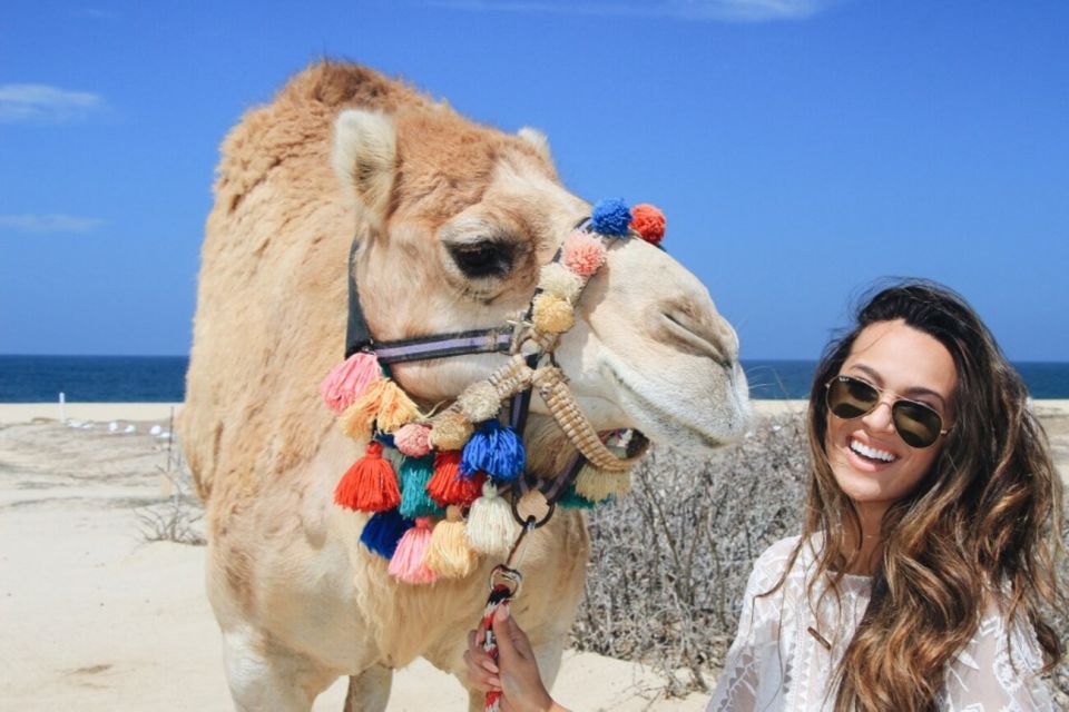 Los Cabos: Desert & Sea Camel Safari Tour With Lunch - Important Considerations