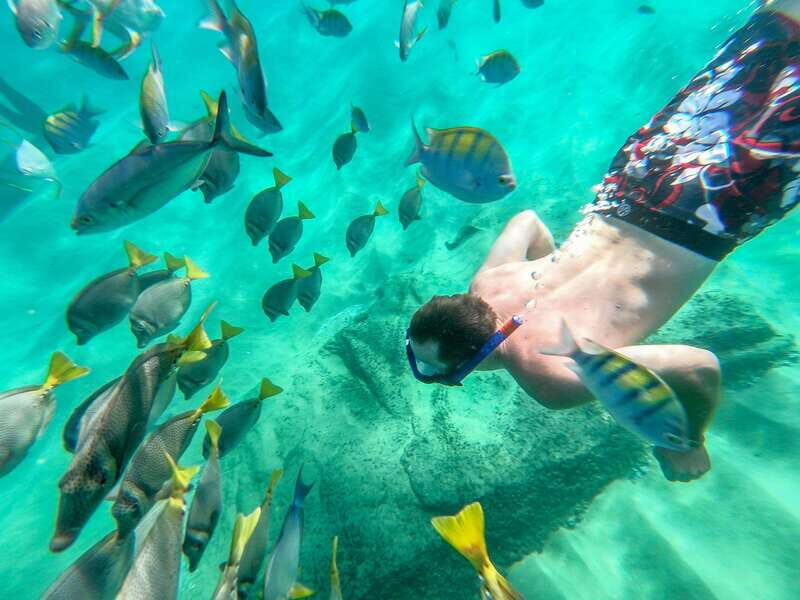 Los Cabos: El Arco, Chileno Beach, and Tequila Tasting Tour - Key Points