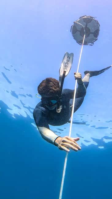 Los Cabos: freediving sessions - The Sum Up