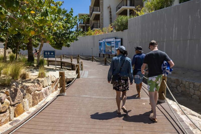 Los Cabos: Guided Snorkeling Tour with Transportation - Key Points