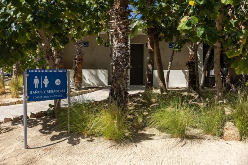 Los Cabos: Guided Snorkeling Tour with Transportation - The Sum Up