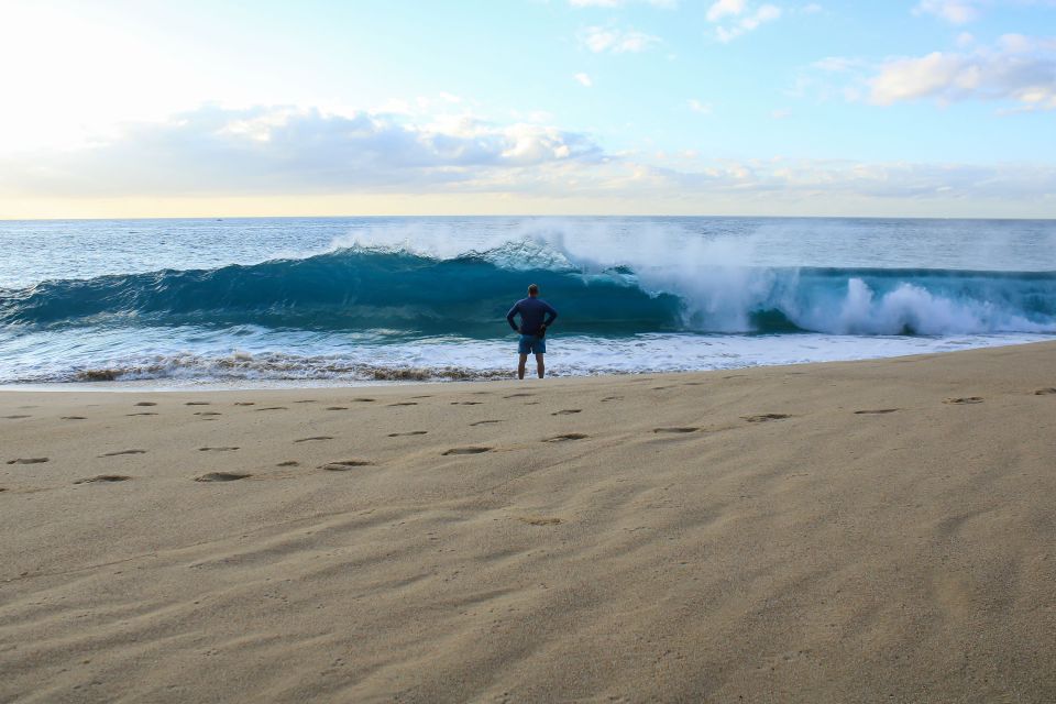 Los Cabos: Kayak to The Arch & Snorkel (Transport Included) - Highlights of the Experience