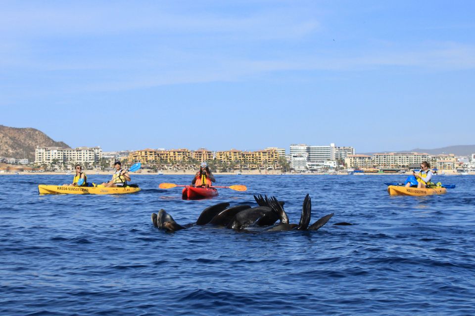 Los Cabos: Kayak to The Arch & Snorkel (Transport Included) - Tour Duration and Location