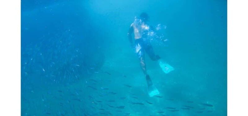 Los Cabos: Land's End Kayak and Snorkel Tour - The Final Paddle and Return