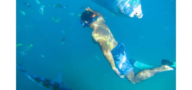 Los Cabos: Land's End Kayak and Snorkel Tour - Practical Details and Value