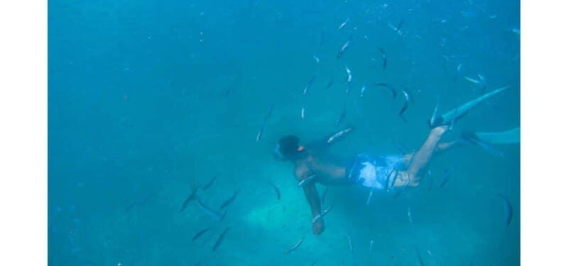 Los Cabos: Land's End Kayak and Snorkel Tour - Final Thoughts