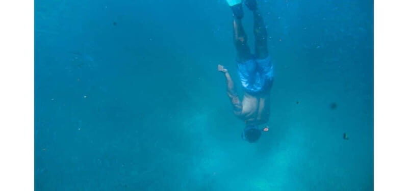 Los Cabos: Land's End Kayak and Snorkel Tour - FAQ