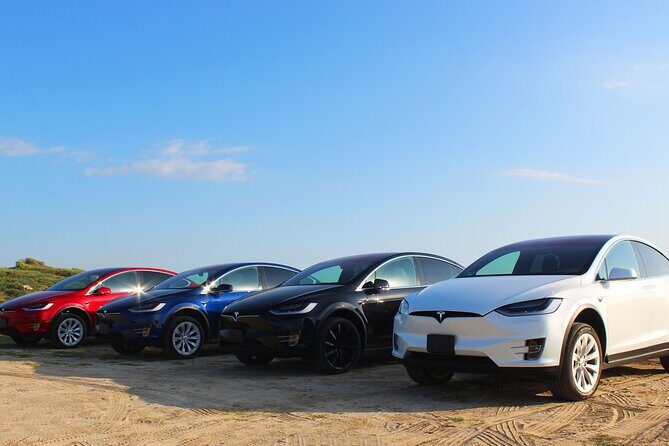 Los Cabos Luxury Private Tesla Transfer from Airport to Puerto Los Cabos Area - Final Thoughts