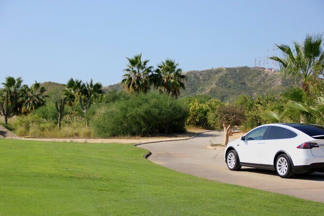 Los Cabos Luxury Tesla Transfer from Airport to San José del Cabo Area - Who Will Love This Experience?