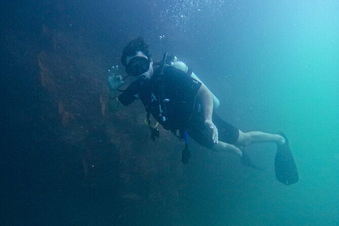 Los Cabos Open Water Diver Course - A Closer Look at the Los Cabos Open Water Diver Course