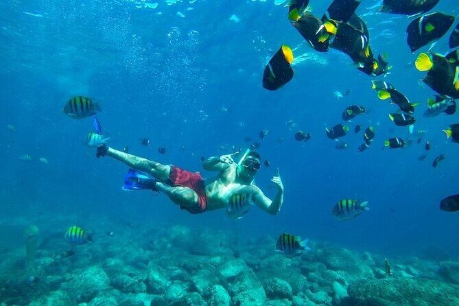 Los Cabos Platinum Snorkel Experience - The Sum Up