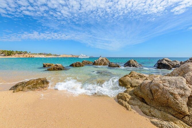 Los Cabos Power Snorkel Adventure, Kayaking and Stand-Up Paddle - Wildlife Sightings