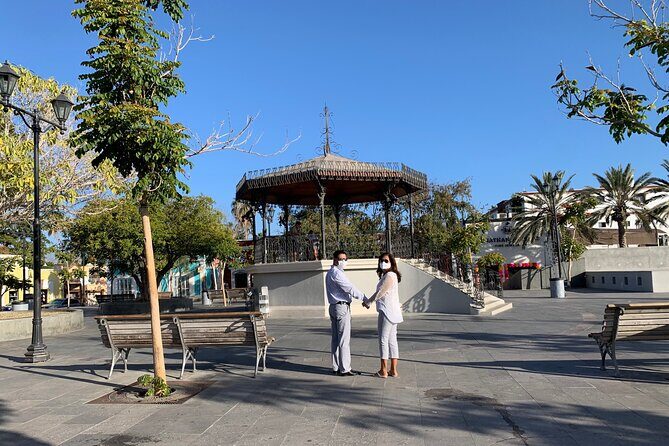 Los Cabos Private Chauffeur Service - Why Consider the Los Cabos Private Chauffeur Service?