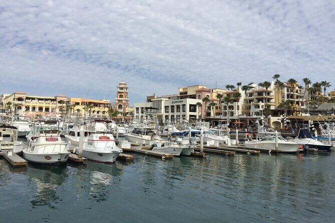 Los Cabos Private Chauffeur Service - The Sum Up: Who Is This Tour Best For?