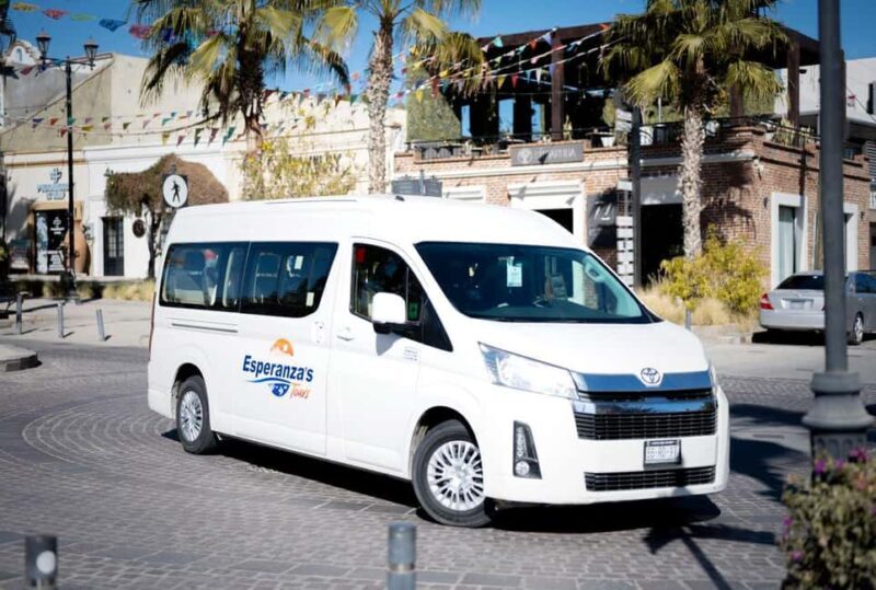 Los Cabos: San Jose del Cabo Art Walk and Beer Tasting Tour - Final Thoughts