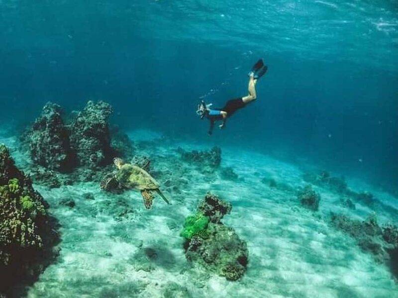 Los Cabos: Santa Maria & Chileno Bay Snorkel Adventure - The Experience in Detail