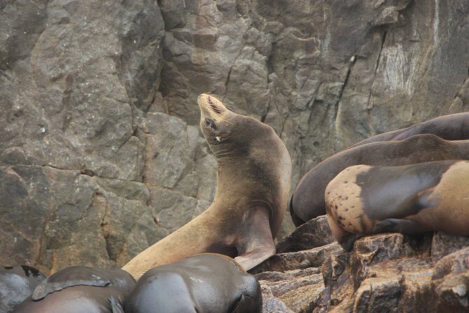 Los Cabos Shared Tour: Explore El Arco and Glass Factory - The Sum Up