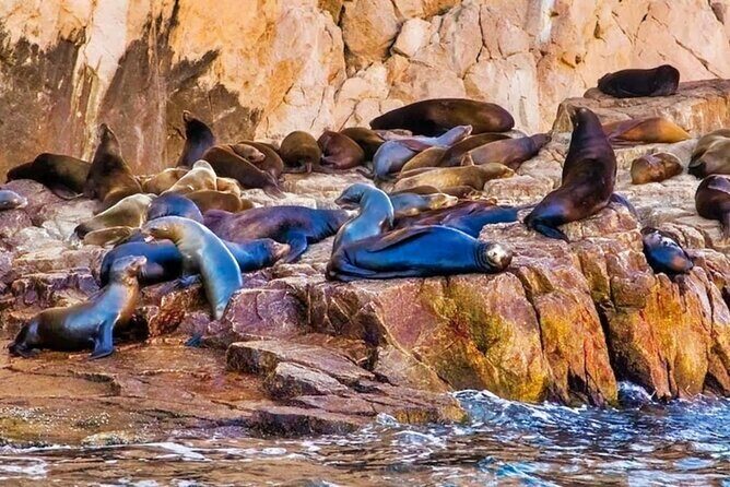 Los Cabos Sightseeing and Cultural Day Trip with Boat Ride - Who Should Consider This Tour?