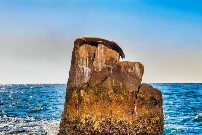 Los Cabos Sightseeing and Cultural Day Trip with Boat Ride - The Sum Up: Is This Tour Worth It?