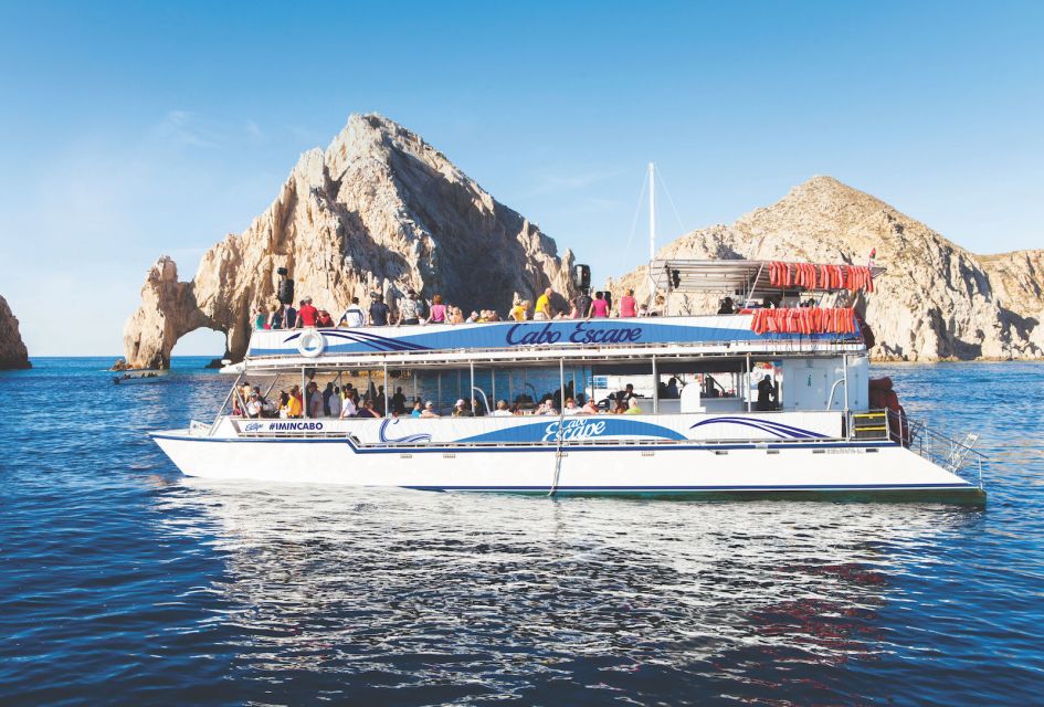 Los Cabos: Snorkel Fun Cruise With Lunch - Snorkeling at Chileno Bay