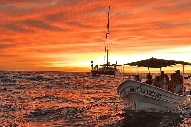 Los Cabos Sunset Boat Tour - Key Points