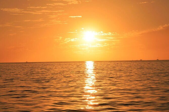 Los Cabos Sunset Catamaran Cruise with Open Bar & Light Snack - The Sum Up: Who Will Love This Cruise?