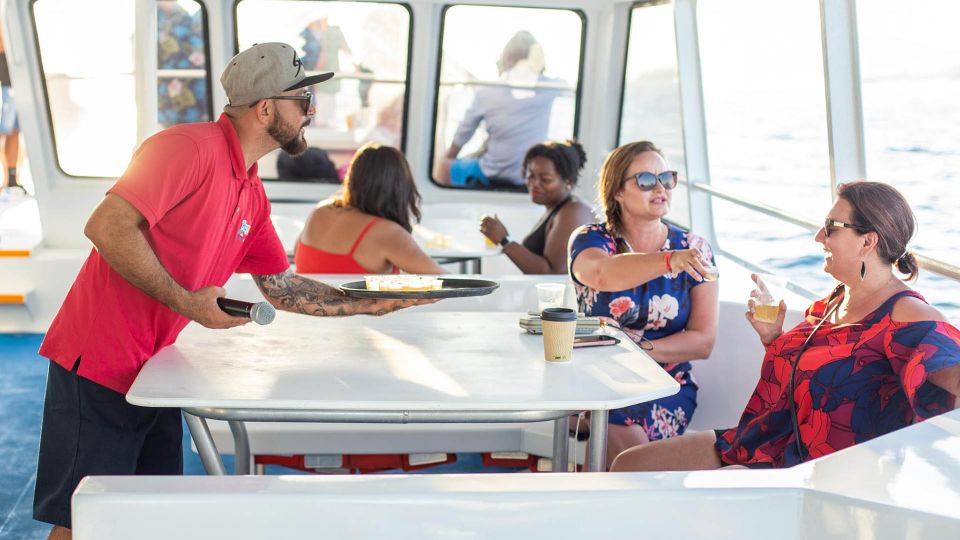 Los Cabos: Sunset Fiesta Dinner Cruise With Camel Ride Tour - Camel Ride Experience